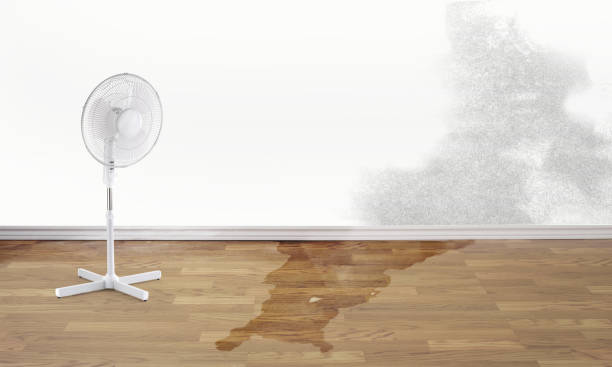 Best Water damage restoration process  in Portsmouth, NH