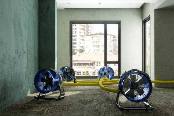 Best Ceiling water damage repair  in Portsmouth, NH
